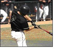 baseball training section