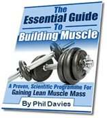 Muscle Building Ebook