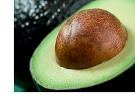 Good fats are essential for health and sport