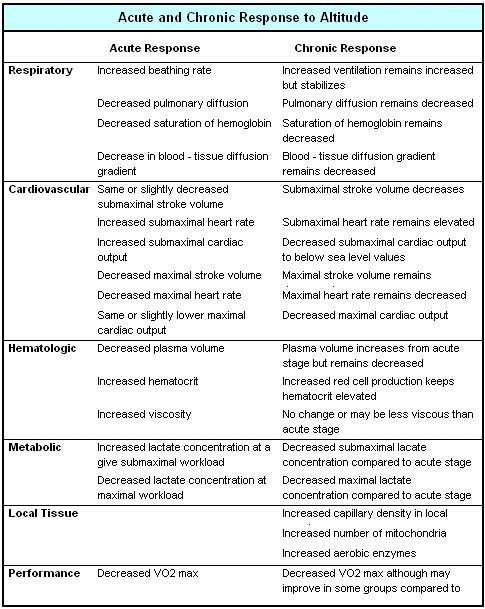 Acclimatization To Altitude