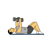 Over 20 Dumbbell Exercises Complete with Animated Diagrams - Sport Fitness  Advisor
