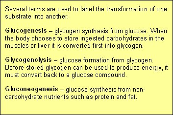 How energy is transformed