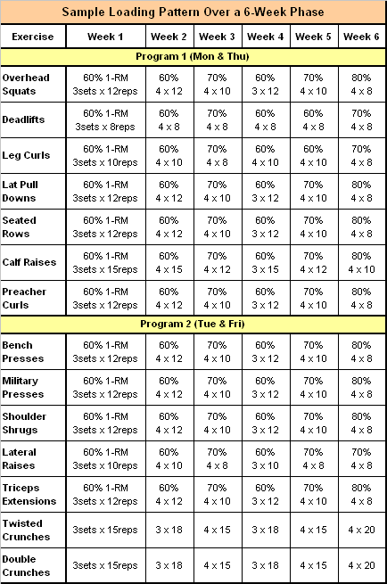 Strength Conditioning Programs College