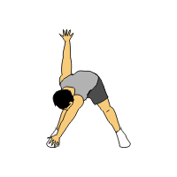 Baseball Stretching Routine