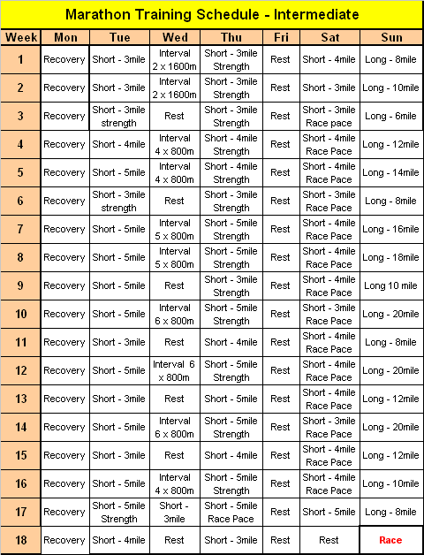 Basketball Cardio Training Program