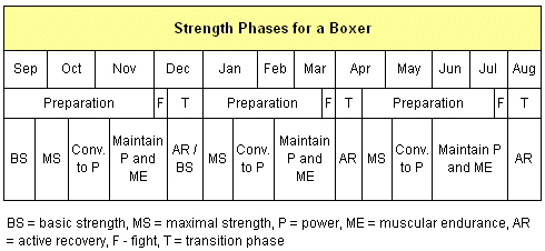 Phases of strength for a boxer