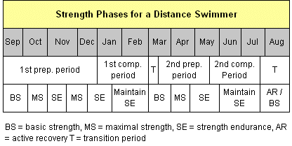 Phases of strength for a swimmer