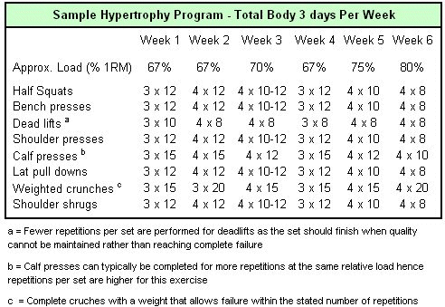 Weight Training Program