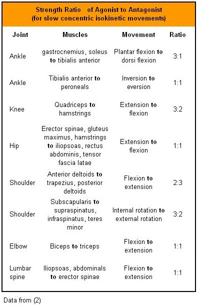 Balance between agonists and antagonists