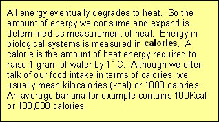 Energy is measured in calories
