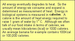 Energy System Development in Team Sports: Part 1 - APA Training Systems