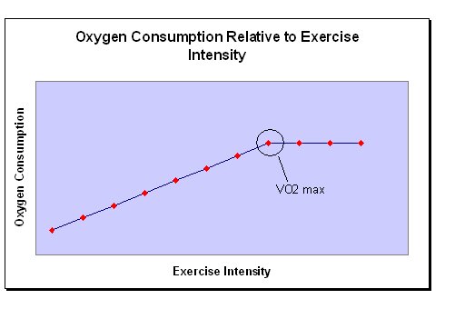 VO2 max graph