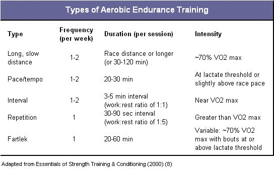 Aerobic endurance training parameters