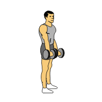 Upright rows