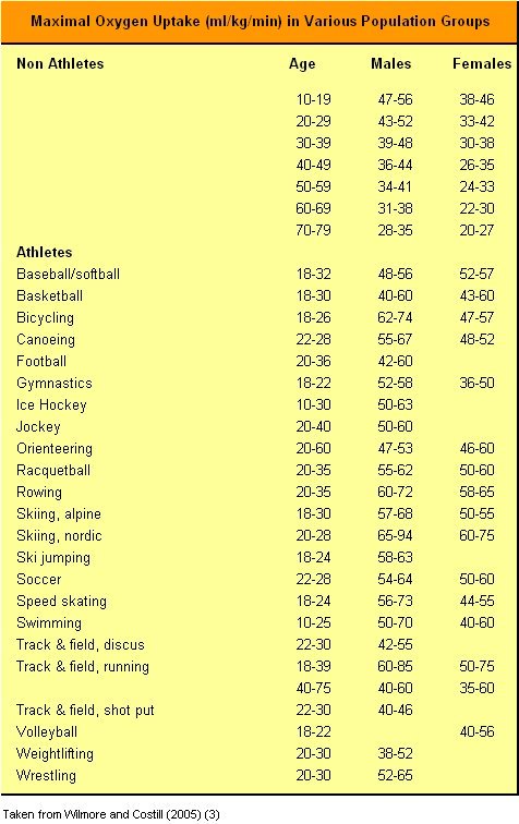 average body fat percentage chart