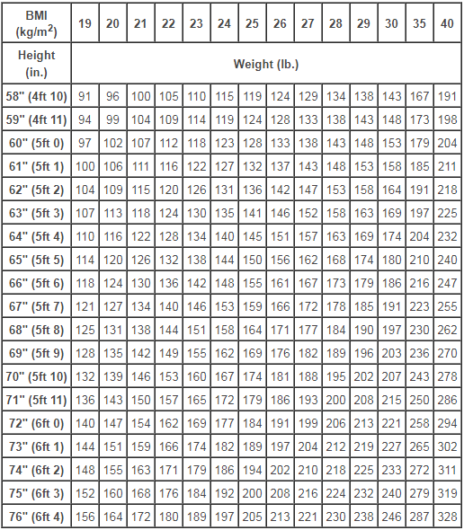 what is average body fat percentage