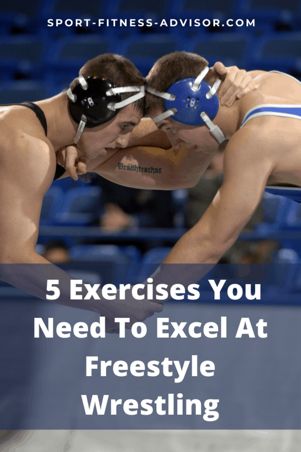 What Is Freestyle Wrestling And The Only 5 Exercises You Need To Excel