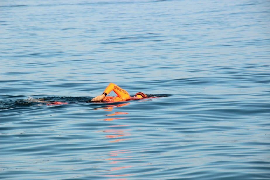 Best Swim Wetsuits Sport Fitness Advisor